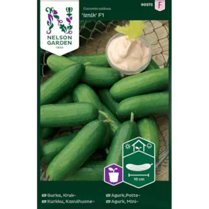Frø potteagurk Izink