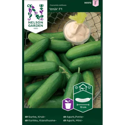 Frø potteagurk Izink