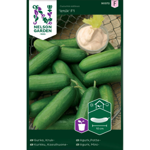 Frø potteagurk Izink