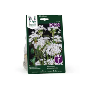 Høstløk neapelløk