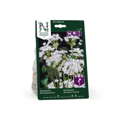 Høstløk neapelløk