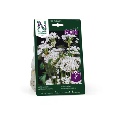 Høstløk neapelløk