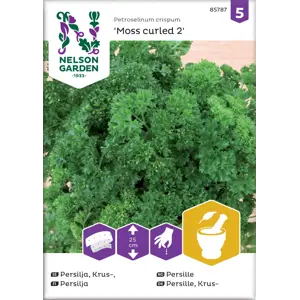 Frø persille Moss Curled 2 økologisk såbånd