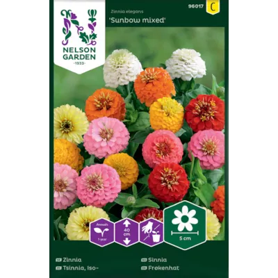 Frø sinnia Sunbow mixed