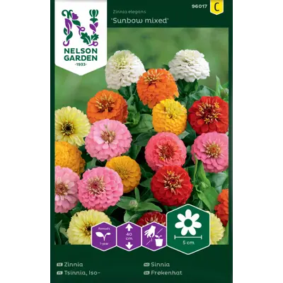 Frø sinnia Sunbow mixed