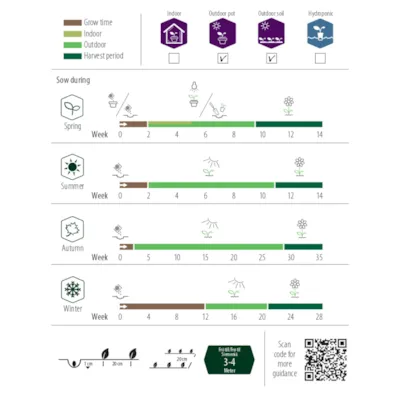 Frø ringblomst økologisk, bilde 2