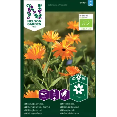 Frø ringblomst økologisk