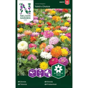 Frø sinnia Takii's Choice