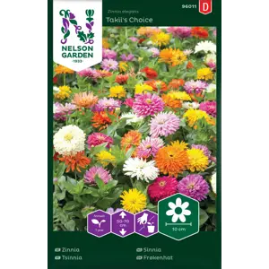 Frø sinnia Takii's Choice