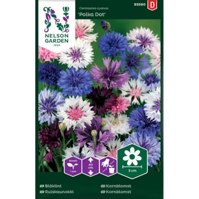 Frø kornblomst Polka Dot