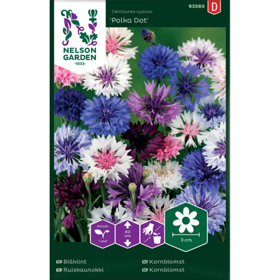 Frø kornblomst Polka Dot