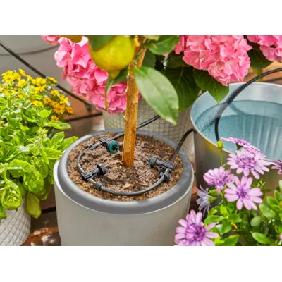 Solcelledrevet vanningssett AquaBloom, bilde 6