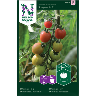 Frø tomat høy Sunpeach