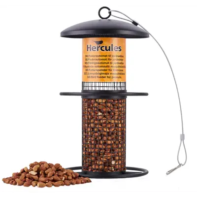 Fuglemater til nøtter H26 cm