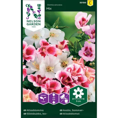 Frø sommerasalia Mix