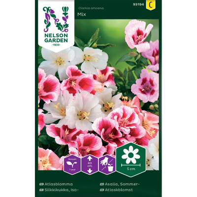 Frø sommerasalia Mix