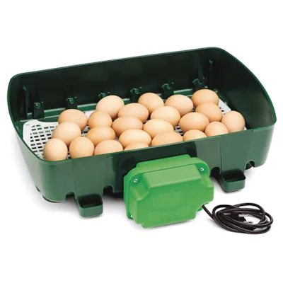 Rugemaskin 24 egg 130W, bilde 2