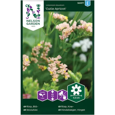 Frø knerisp Cutie Apricot