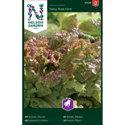 Frø plukksalat New Red Fire