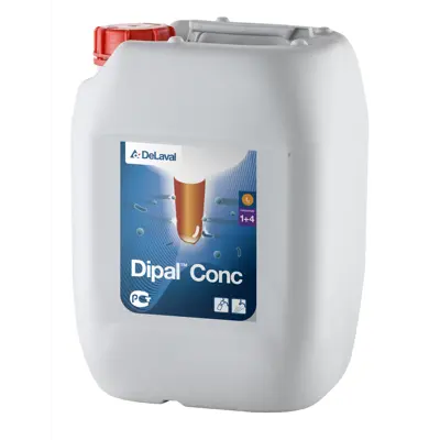 Spenedypp Dipal Conc 10 L