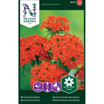 Frø brennende kjærlighet