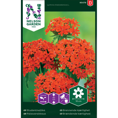 Frø brennende kjærlighet