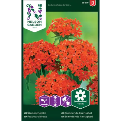 Frø brennende kjærlighet, bilde 2