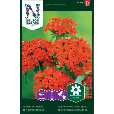 Frø brennende kjærlighet, bilde 2