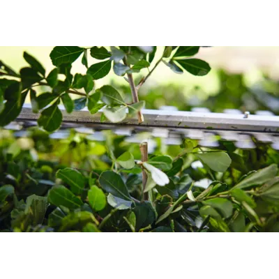 Batteridrevet hekksaks HSA 40.0 sett, bilde 7