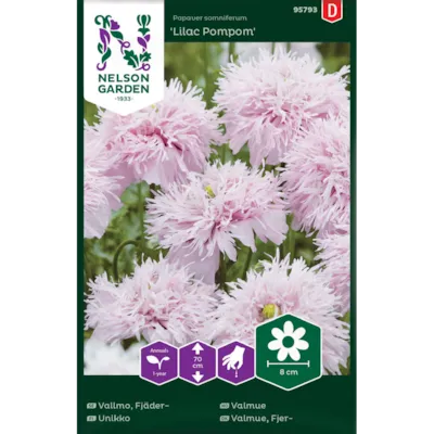 Frø valmue Lilac Pompom