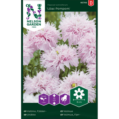 Frø valmue Lilac Pompom