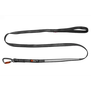 Hundebånd Move 170 cm grå