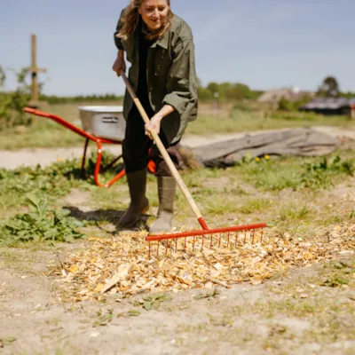 Classic høyrive, bilde 2