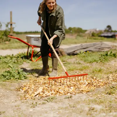 Classic høyrive, bilde 2