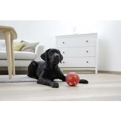 Aktiviseringsball, bilde 4