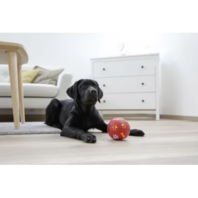 Aktiviseringsball, bilde 4