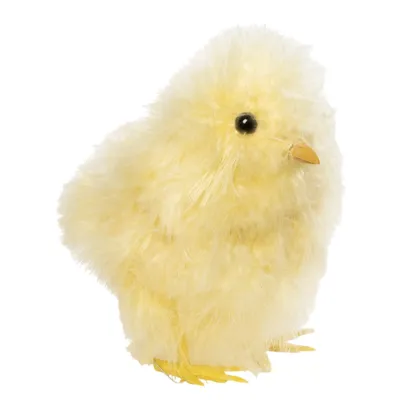 Kylling Benjamin lysegul