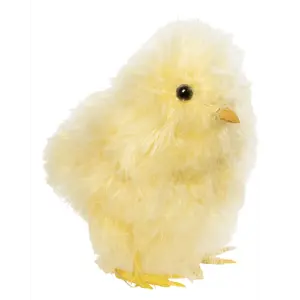 Kylling Benjamin lysegul