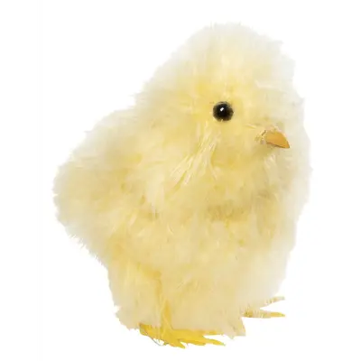 Kylling Benjamin lysegul