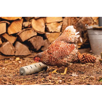 Snackrulle til høns, bilde 3