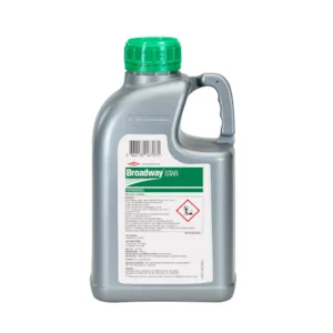 Broadway Star 1,06 kg