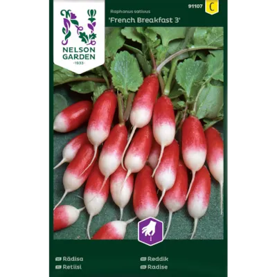 Frø reddik French Breakfast 3