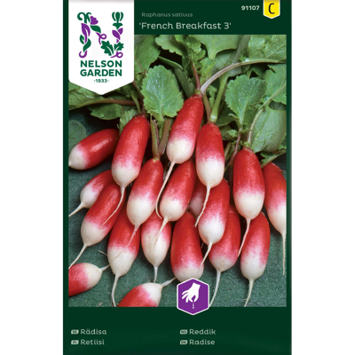 Frø reddik French Breakfast 3