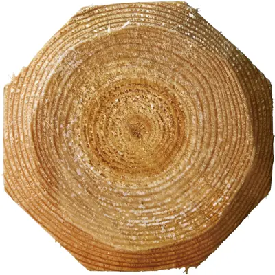 Gjerdestolpe impregnert 8x250 cm 84 stk, bilde 3
