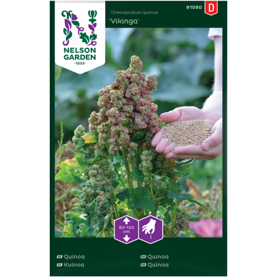 Frø quinoa Vikinga