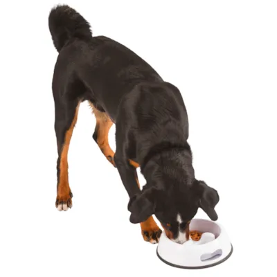 Matskål Slow Feeder hvit, bilde 5