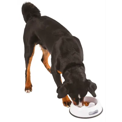 Matskål Slow Feeder hvit, bilde 5