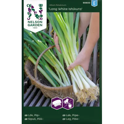 Frø pipeløk Long White Ishikura