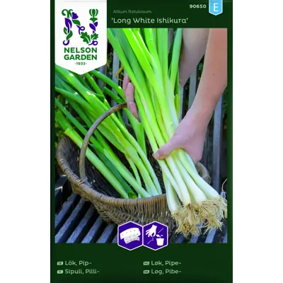 Frø pipeløk Long White Ishikura