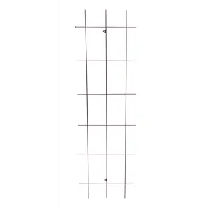 Espalier rust 45x150 cm